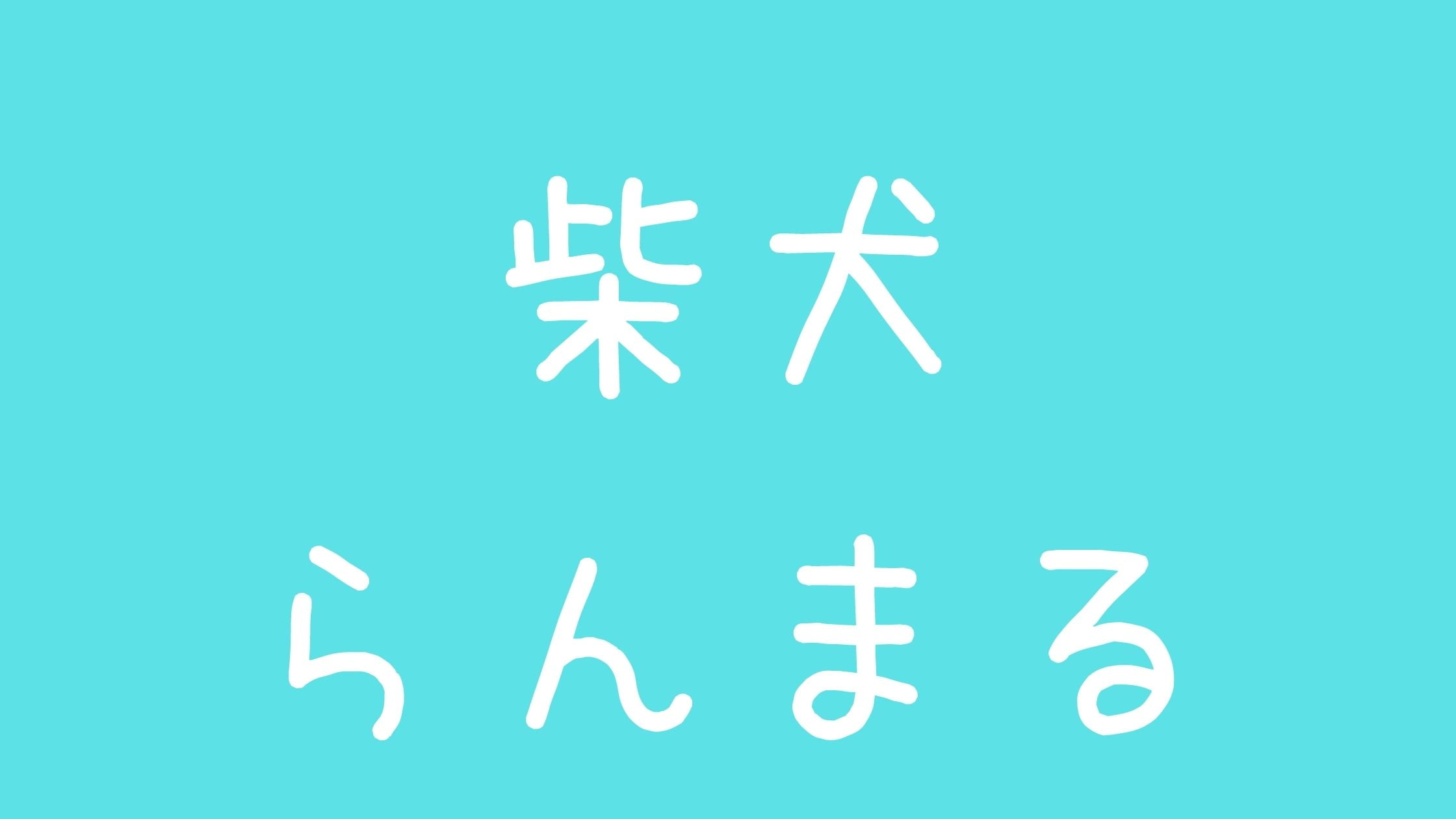 柴犬らんまるアンチ炎上太りすぎでかわいい?収入と体重について