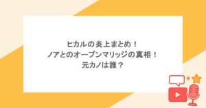 ヒカルの炎上まとめ!ノアとのオープンマリッジの真相!元カノは誰?